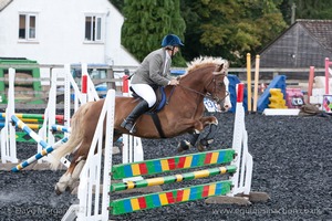 Class 6 - Fences not above 2'9